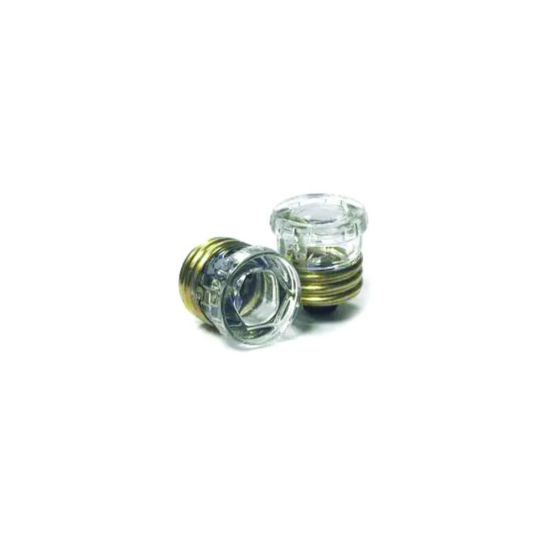 Pack Of Two Time-Delay Fuse Cartridges – 15 Amp Rating 1