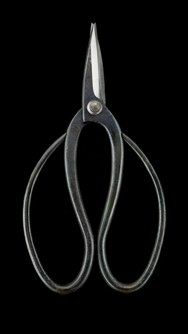 Sakai Noboru Bonsai Scissors – 185Mm, Handmade Japanese Pruning Shears 1