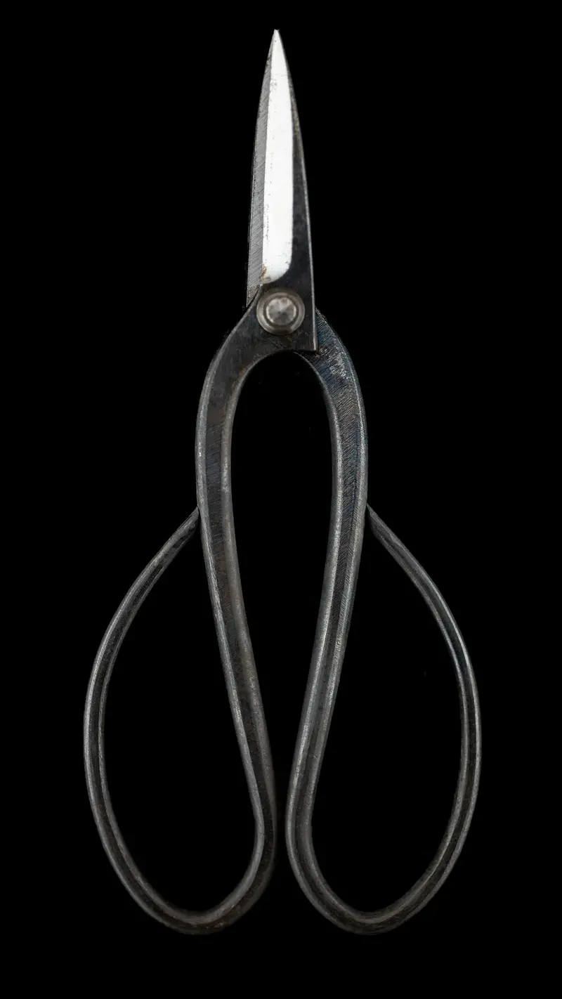 Sakai Noboru Ueki-Basami ② – Left-Handed Japanese Bonsai Shears 1