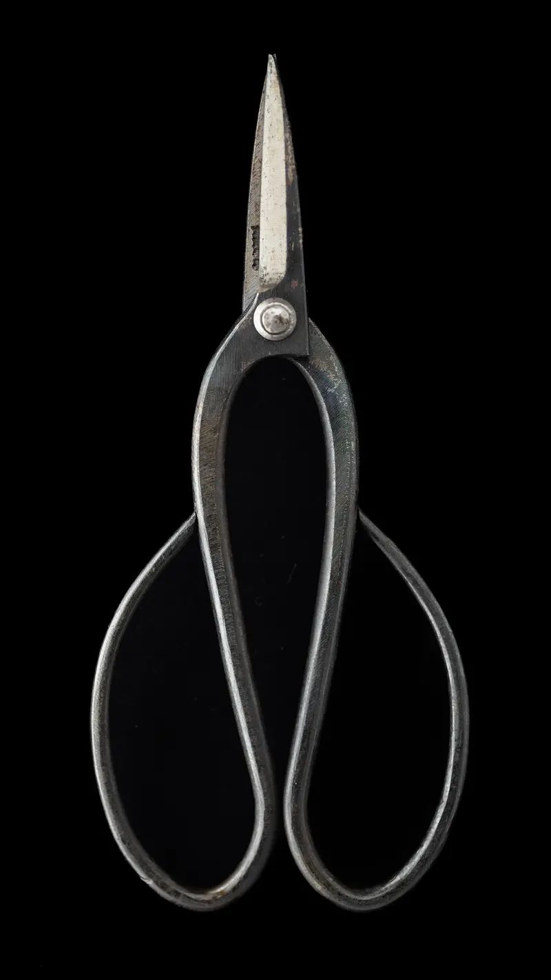 Ueki-Basami Left-Hand Bonsai Scissors By Sakai Noboru – Handmade Japanese Pruning Shears 1